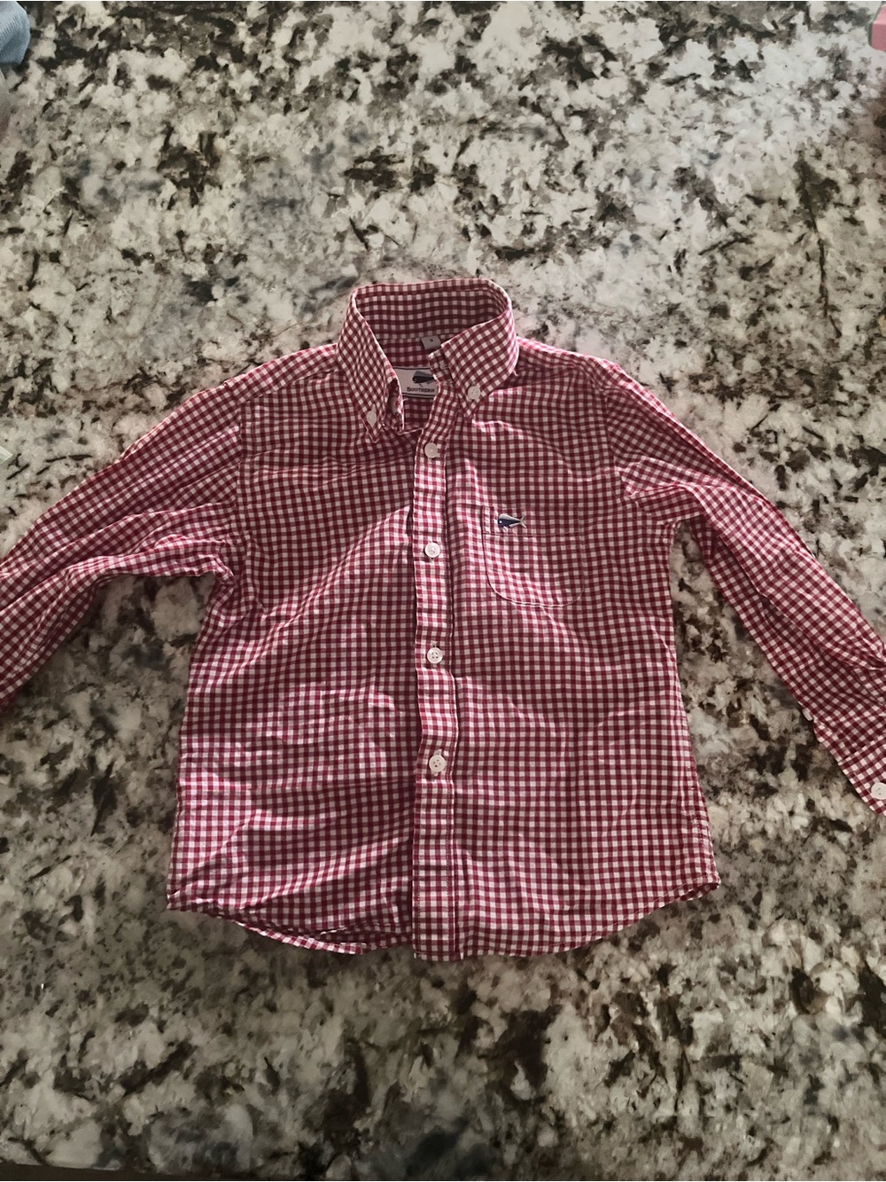 Boys Red Gingham Long-Sleeve Button-Down Shirt